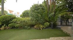 Kim Chuan Drive (D19), Semi-Detached #453321151